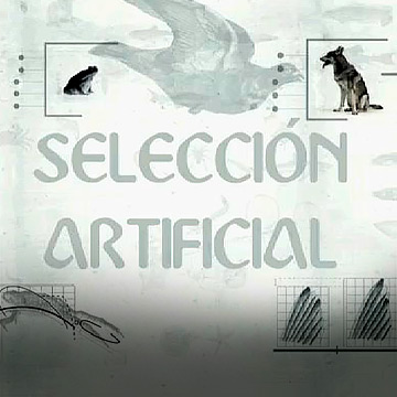 Selección artificial